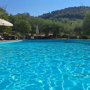 Farm stay Agriturismo Poggio All'olmo